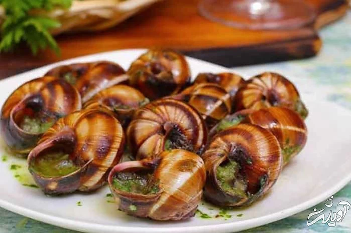 غذا‌هایی که در گینس رکورد زدند+ تصاویر